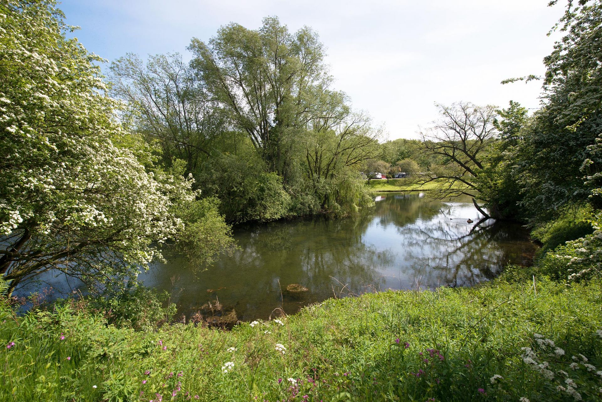 Holiday Park and Campsite Photos - Sherwood Forest Holiday Park